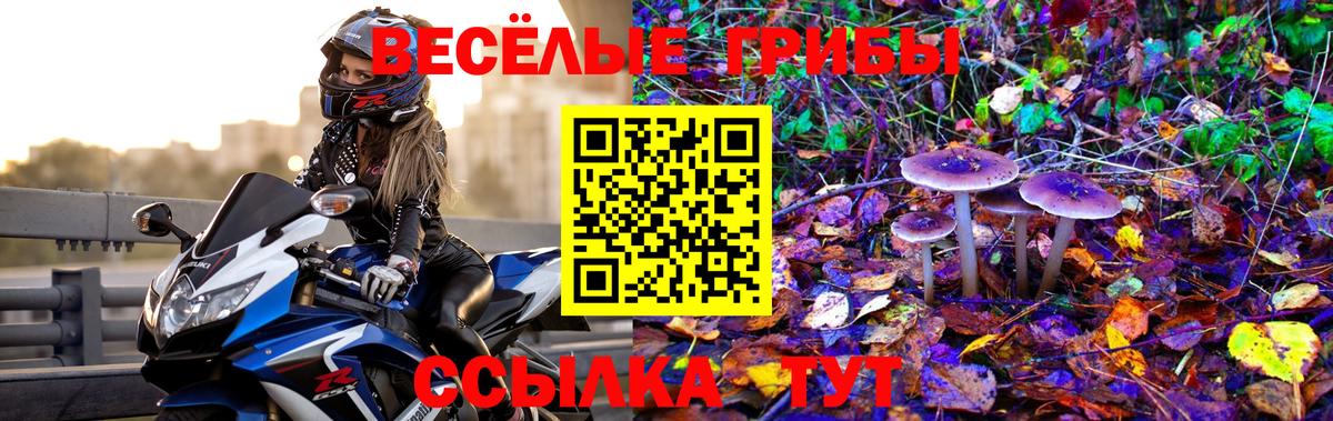Псилоцибиновые грибы MAGIC MUSHROOMS  Галлюциногенные грибы мицелий  Вход с VPN  Лянтор 